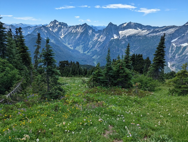 Mt. Dickerman