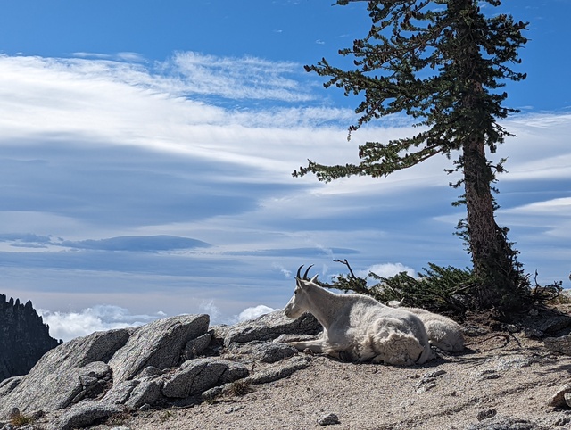 The Enchantments