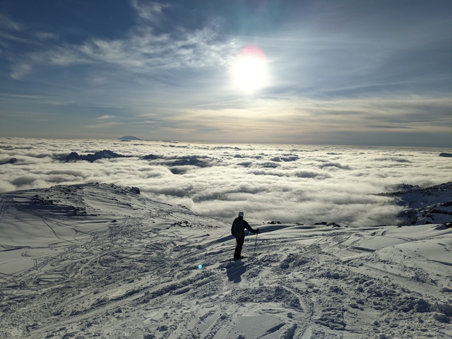 Muir Snowfields